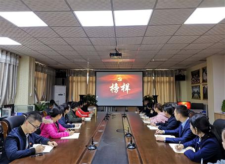 向榜樣看齊，做合格黨員