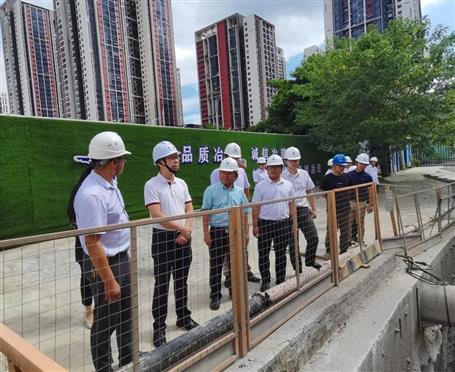 唐志華帶隊到桂南分公司項目視察督辦項目推進(jìn)安全質(zhì)量工作